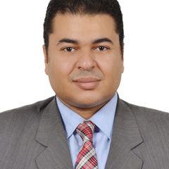 Sherif Magdy Abd El Azim Gab Allah, Lawyer