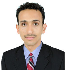 محمد مطهر محب الحواني, Computer engineer and networks IT