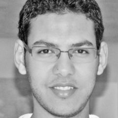 Ahmed Nassar, Technical Support Team Lead 