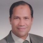 Ahmed Saied Abd Al Mageed, Chief Financial Officer (CFO)
