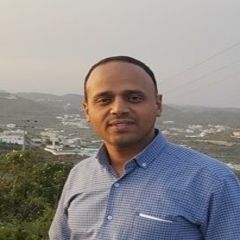 حمزة احمد محمد عبدالقادر شولق, مهندس معماري