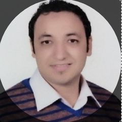 Ahmed Ragab, Electrical inspector engineer