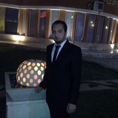 Hussam Mohamed, Senior