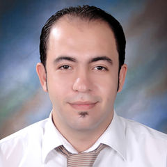 Mahmoud Esam Eldin Mahmoud Ellithy, Communication Engineer