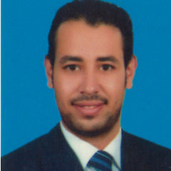 ahmed fathy, safety  inspector 