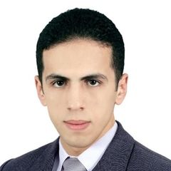 Mohamed Elsafty, Customs Clearnce Agent