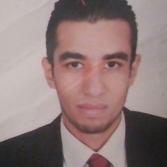 amr saeed mohamed abd el meged