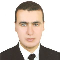 محمد محسن محمد حسن الشحات, معلم