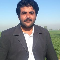 Amjad Larik