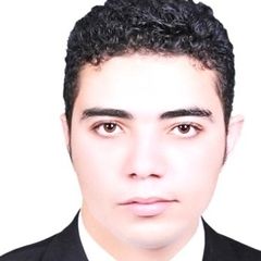 hany ramzy fathallah afify afify, construction and site engineer
