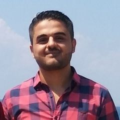 Kinan  Abbas, Programmer