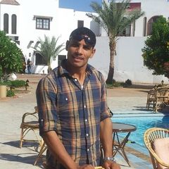 Ahmed Elmohmedy, محاسب