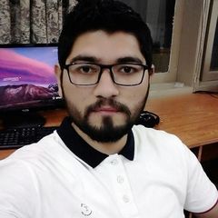 Haroon Ahmad Dar, web developer
