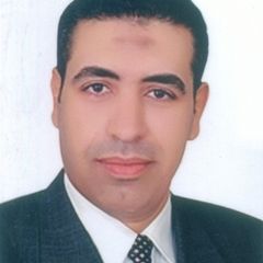 اشرف فاروق, منسق مشاريع