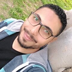 Mohamed Galal Mohamed  Elfakharany