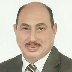 عماد حنا, Projects Manager