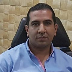 Hany Samir Madian, section sales manager