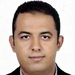 Ahmed Ayman Ahmed Farrag Elsayed, Structural Design Engineer