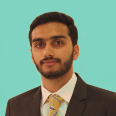 Ameer Hamza