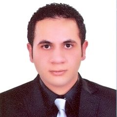 Mohamed Gamal Abdelgawad El sayed Omar Omar, Chartered Accountant
