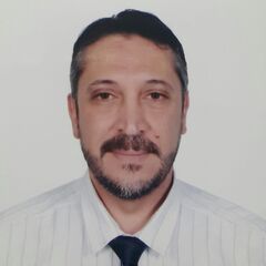Mohammad Riad Al-Rafei, Financial Consultant / Planning and Development Officer