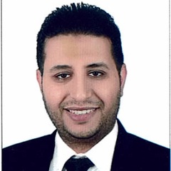 محمد شلبي, Accountant