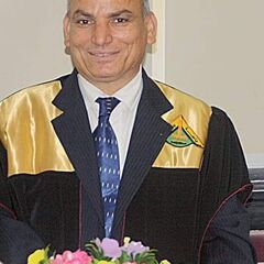 خليل السيد خليل شوشة