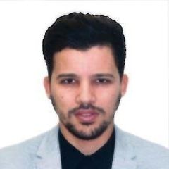 Mohamed Reda Abdelali, Digital Service Manager