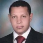 ahmed qotb, Assistant Section Engineer / Structure