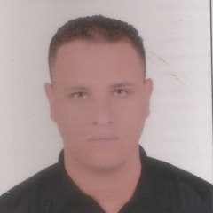 omar fouly