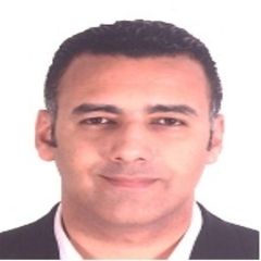 Ahmed Elsayed Farag, Head, Organizational Development
