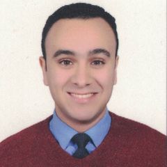 peter magdy fikry, Talent Acquisition Specialist