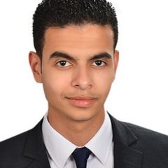 Abdelrahman Osman Mustafa Elawady, ERP Implementer
