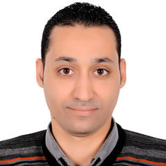 Ramy Mohamed Abd El Ghafar, Senior Quality Control Analyst