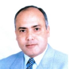 عزت منصور, Senior Project Manager
