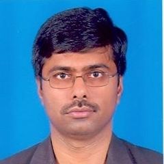 Sankaran Kannan, IT / Finance Expert - ERP Project Management