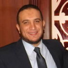 أيمن عبد العزيز الجندى, Project Manager