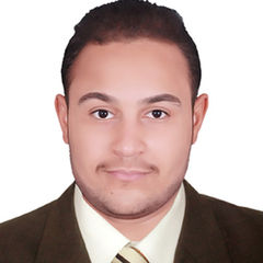 ربيع محمد عبدالله عبدالمؤمن عبدالجواد, محاسب عام