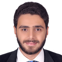 Mohamed Ehab Mohamed Anwar Fahmy, Import And Export Specialist