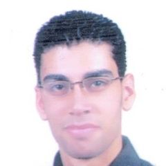 Kareem Hashad, Employee