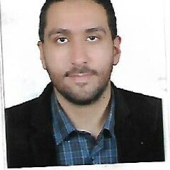 ahmed fathi, Project manager assistant