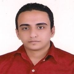 Ahmed Amen emara, account advisor