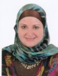 Ghada Saleh, Technical data technician