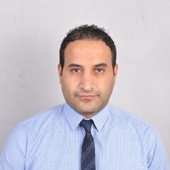 محمد سعد عبد المعطي ابو الحسن, HSE Specialist/HSE Engineer/HSE Auditor/HSE Inspector 