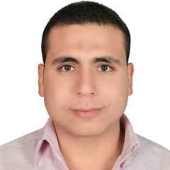 محمد عطية محمد عبدالله, مدير قسم Data Entery
