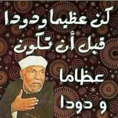 amin mohamed el hady amin badr