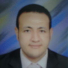 محمد shafie, مسئول التشغيل القياسي يمحطات وشيكات المياه