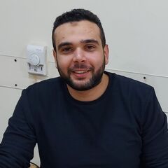 Abdelhamed Taha, Data Analyst
