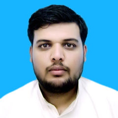 Bilal Rashid, Auditor-In-Charge