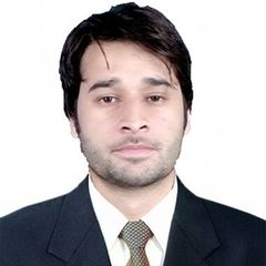 Nasir ullah, Software Developer
